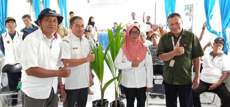 Brida Sulteng Selenggarakan Bimtek Budidaya dan Perbanyakan Bibit Kelapa Genjah Raja